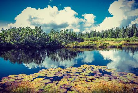 ȫIPOʶӽʷλ гǹĭ